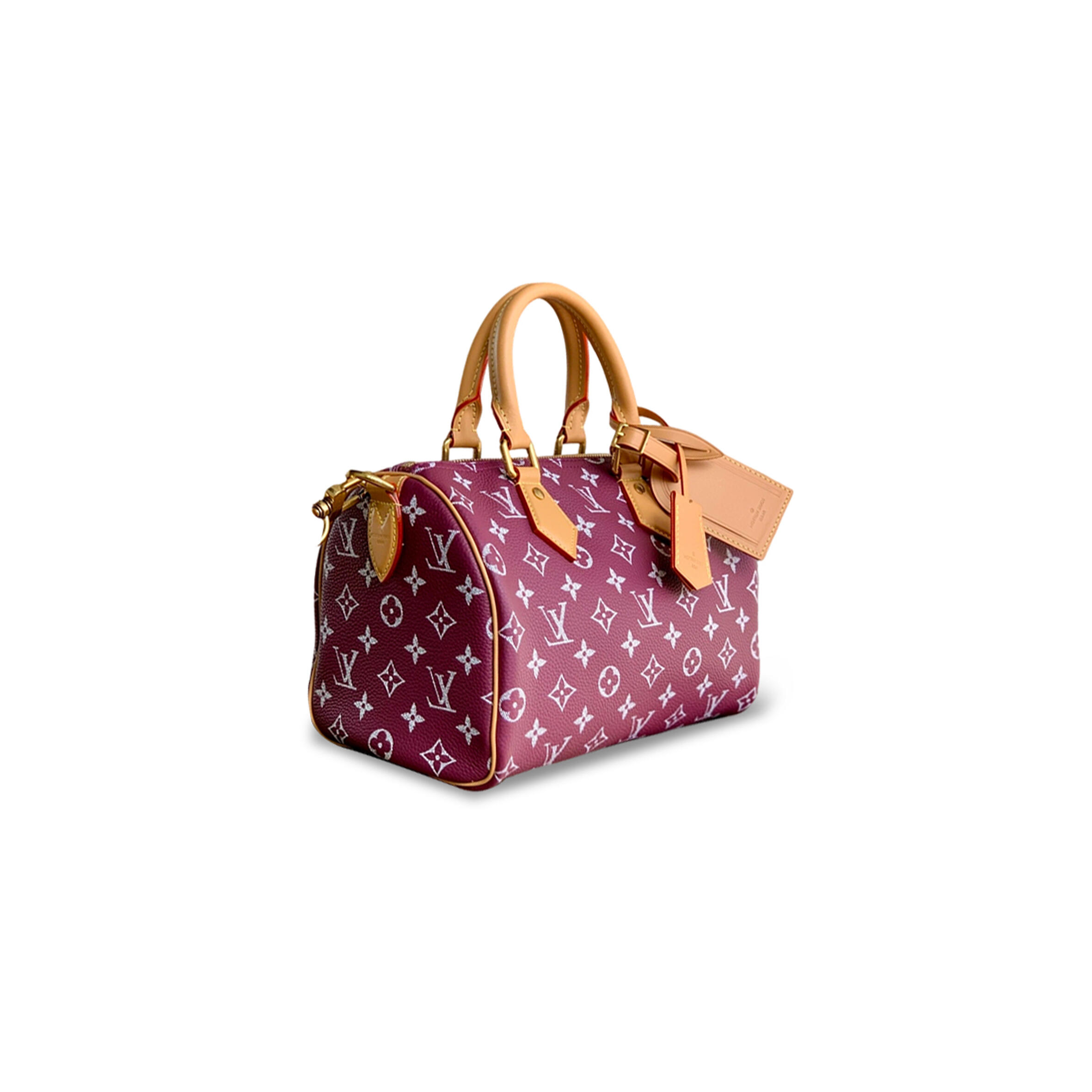 l0vis Vvtt0n master speedy p9 bandouliÈre 25 m24443 (25*15*15cm)